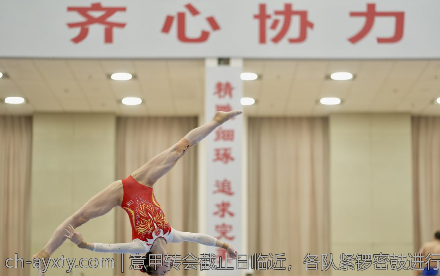 意甲转会截止日临近，各队紧锣密鼓进行最后补强