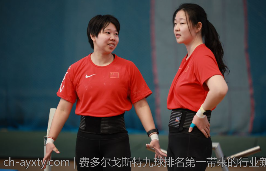 费多尔戈斯特九球排名第一带来的行业新变革