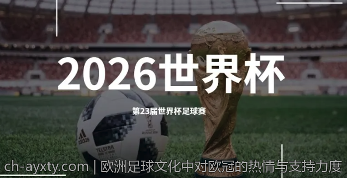 欧洲足球文化中对欧冠的热情与支持力度